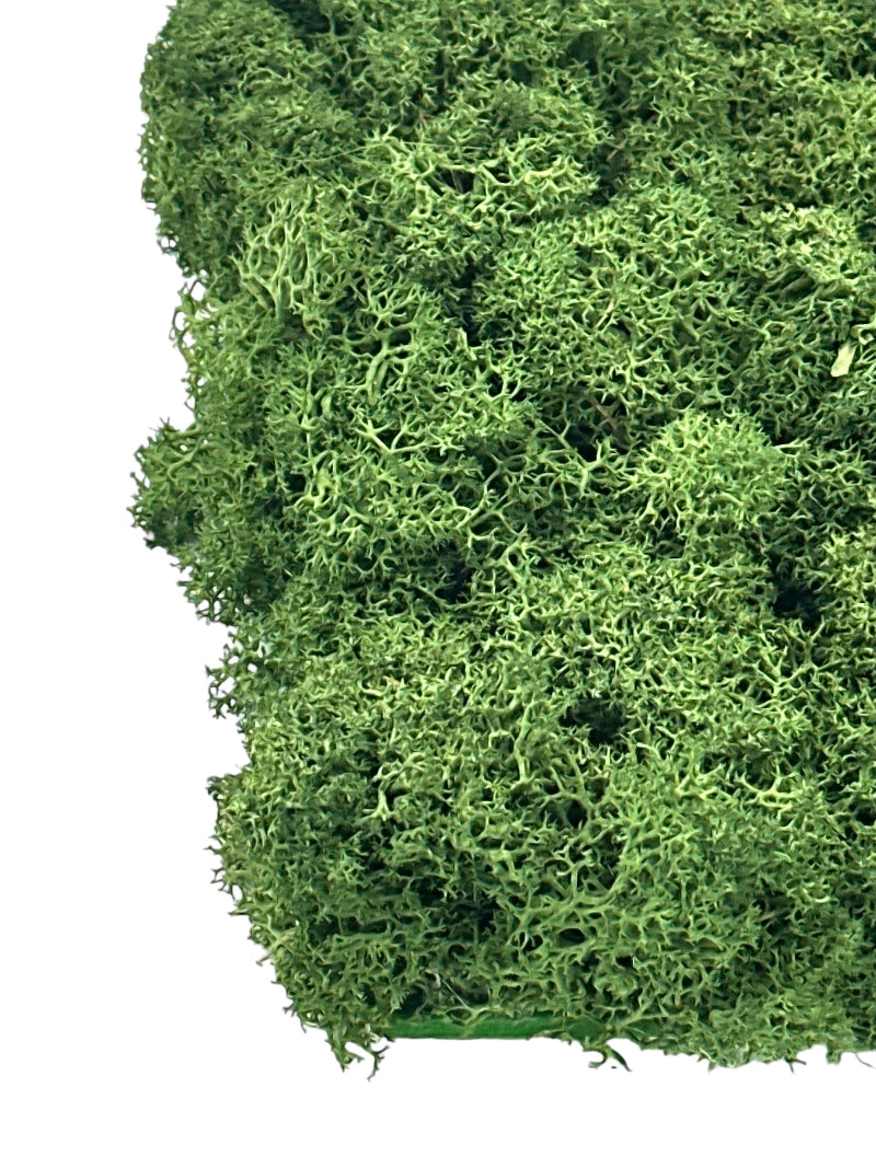 Detail Dekomoos in Armeegrün, Artikel 899000, die Lichtmacher.