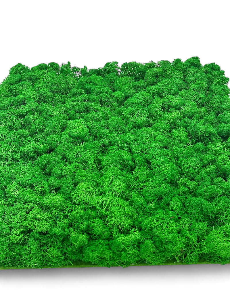 Moosplatten zur Raumgestaltung, Artikel 899003, die Lichtmacher GmbH.