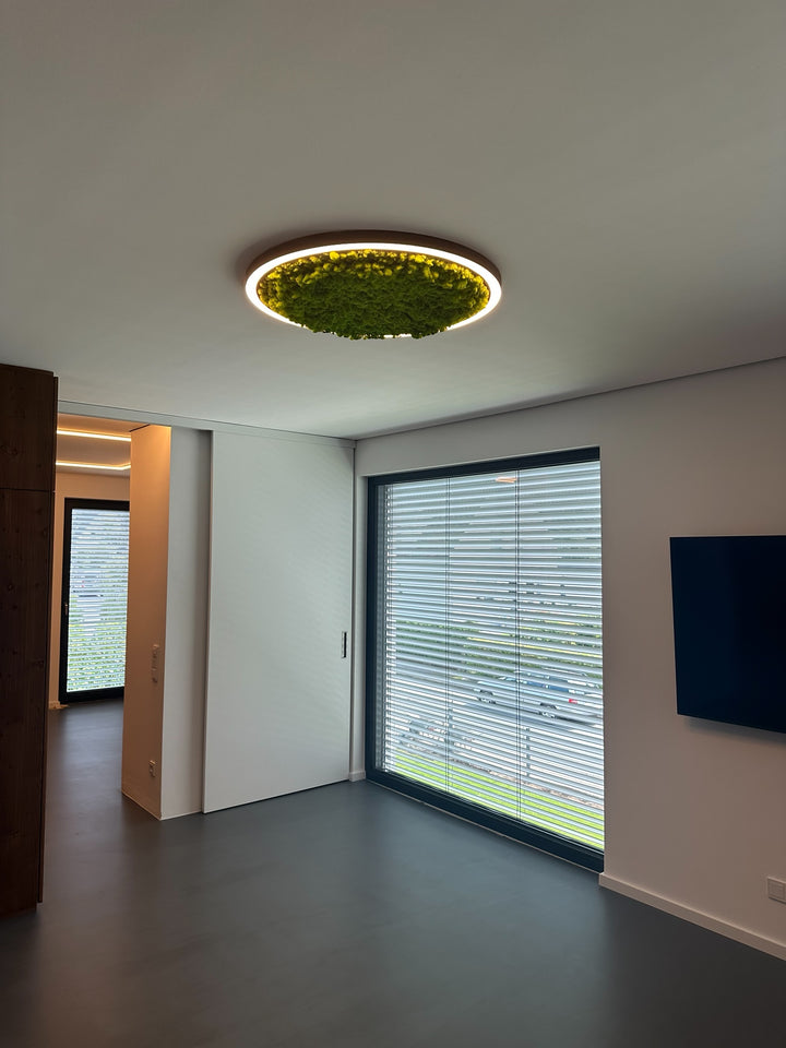 LED Circle Moosleuchte, 800mm, 50W