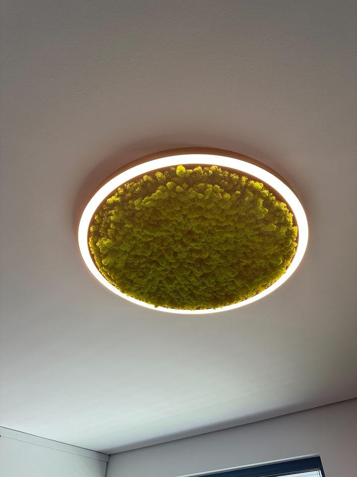 LED Circle Moosleuchte, 800mm, 50W