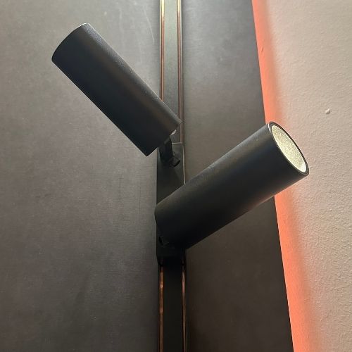 LED magnetic rail Tuya spotlight 2*9W, 2700K-6000K, 24°, cylinder, black