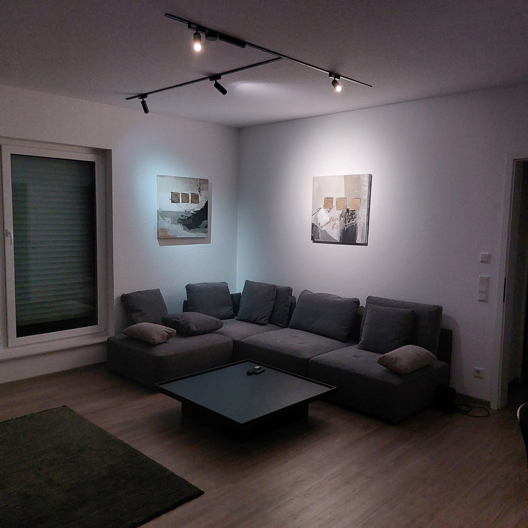 LED SLIM Strahler 2x12W, 2700K, 24°, DALI, Röhre L, schwarz oder weiß