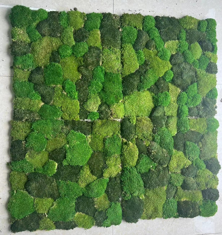 Island Moosplatte 50 x 50 cm selbstklebend, Mixed Balls